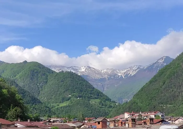 Appartamento Apartma Alta *